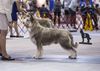 Profile picture of the animal
