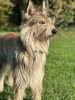 Profile picture of the animal