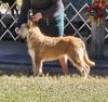 Profile picture of the animal