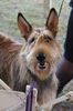 Profile picture of the animal