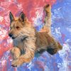 Profile picture of the animal