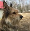 Profile picture of the animal