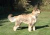 Profile picture of the animal