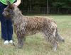 Profile picture of the animal