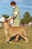Profile picture of the animal