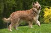 Profile picture of the animal