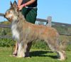 Profile picture of the animal