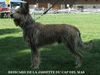 Profile picture of the animal