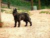 Profile picture of the animal