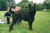 Profile picture of the animal