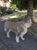 Profile picture of the animal