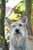 Profile picture of the animal