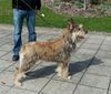 Profile picture of the animal