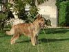 Profile picture of the animal