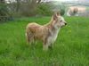 Profile picture of the animal