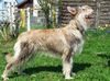 Profile picture of the animal