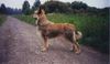 Profile picture of the animal