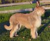 Profile picture of the animal