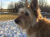 Profile picture of the animal