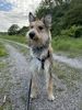 Profile picture of the animal