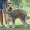Profile picture of the animal