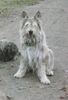 Profile picture of the animal