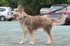 Profile picture of the animal