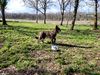 Profile picture of the animal