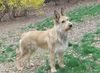 Profile picture of the animal